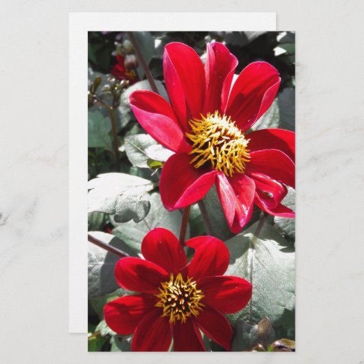 rode, roze vleermuis / melkbloemen briefpapier (Voorkant / Achterkant)