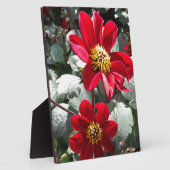 rode, roze vleermuis / melkbloemen fotoplaat (Zijkant)