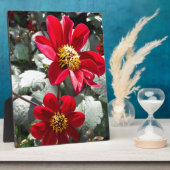 rode, roze vleermuis / melkbloemen fotoplaat (Zijkant)