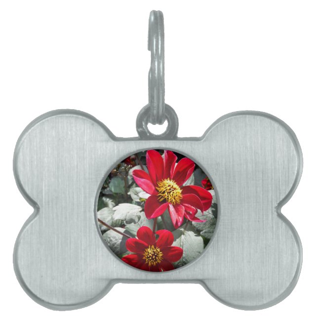 rode, roze vleermuis / melkbloemen huisdieren naamplaatje (voorkant)