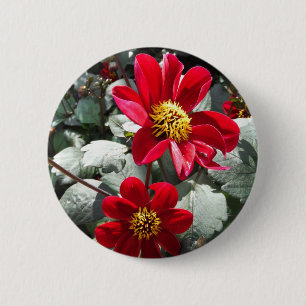 rode, roze vleermuis / melkbloemen ronde button 5,7 cm