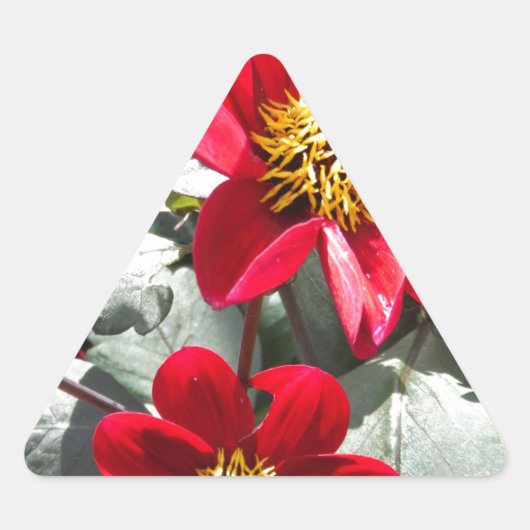 rode, roze vleermuis / melkbloemen sticker (Voorkant)