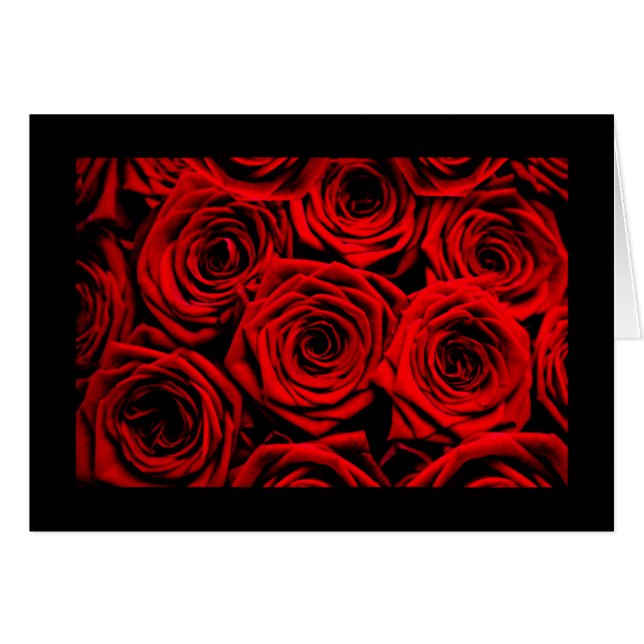 Rode rozen (Voorkant Horizontaal)