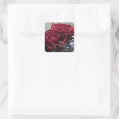 Rode Rozen 1a Vierkante Sticker (Tas)