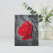 Rode Rozen Ansichtkaart Briefkaart (Staand voorkant)