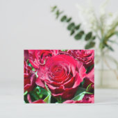 Rode Rozen Ansichtkaart Briefkaart (Staand voorkant)