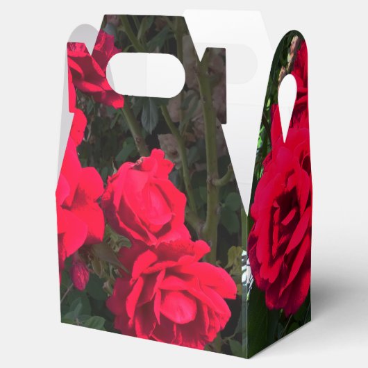 Rode rozen bloeien bedankdoosjes (Geopend)