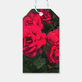 Rode rozen bloeien cadeaulabel