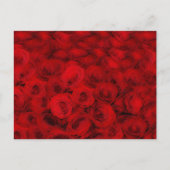  rode rozen bloemenbloem Briefkaart (Voorkant)