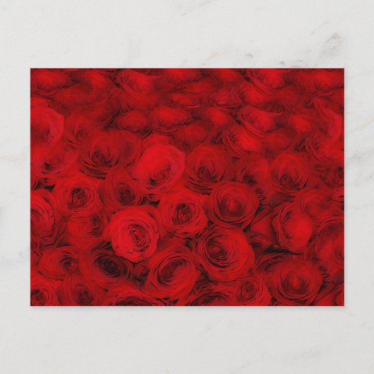  rode rozen bloemenbloem Briefkaart (Voorkant)