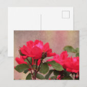 Rode rozen briefkaart (Voorkant / Achterkant)