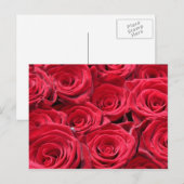 Rode rozen briefkaart (Voorkant / Achterkant)