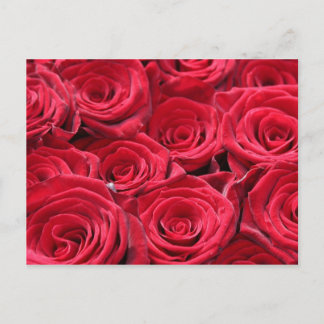 Rode rozen briefkaart
