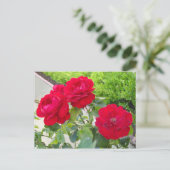 Rode rozen briefkaart (Staand voorkant)