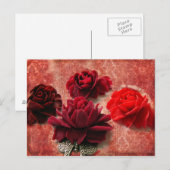 Rode rozen briefkaart (Voorkant / Achterkant)