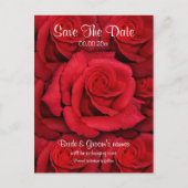 Rode rozen - bruiloft save the date uitnodigingen (Voorkant)