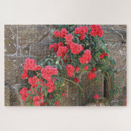 Rode rozen die op bakstenen muur klimmen, Spanje Legpuzzel