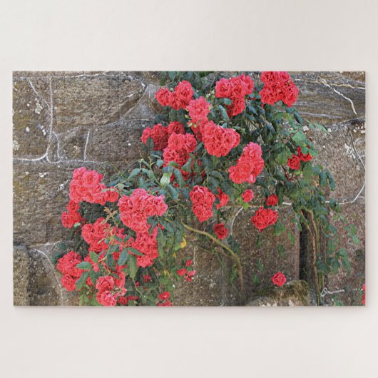 Rode rozen die op bakstenen muur klimmen, Spanje Legpuzzel (Horizontaal)