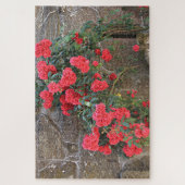 Rode rozen die op bakstenen muur klimmen, Spanje Legpuzzel (Verticaal)