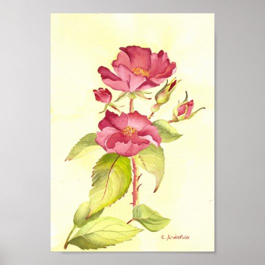Rode rozen en knoppen aquarel gele achtergrond poster (Voorkant)