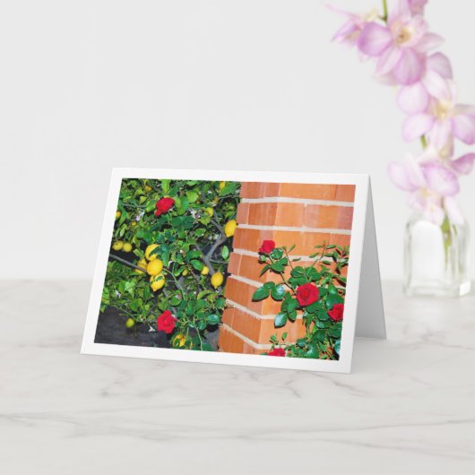 Rode rozen en luiers kaart (Orchidee)