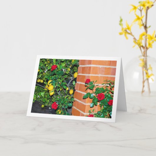 Rode rozen en luiers kaart (Gele Bloem)