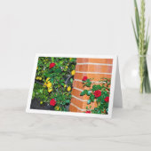 Rode rozen en luiers kaart (Voorkant)