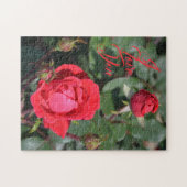 Rode rozen en Rozen knoppen Floral Photographic Legpuzzel (Horizontaal)