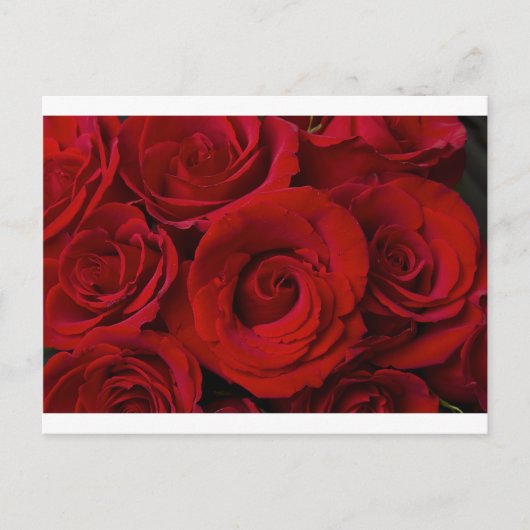 Rode rozen en watervallen briefkaart (Voorkant)