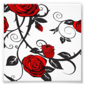 Rode rozen foto afdruk (Voorkant)