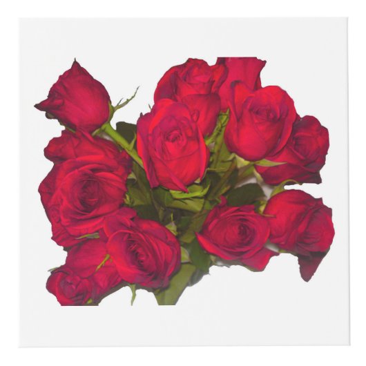 Rode rozen foto kubus (Rechts)