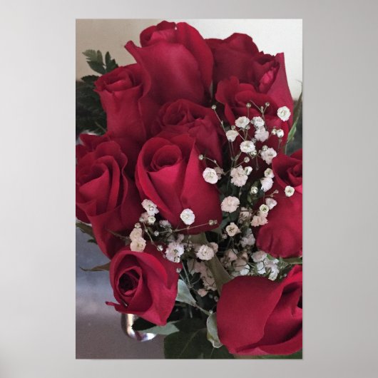 Rode Rozen Foto Poster (Voorkant)