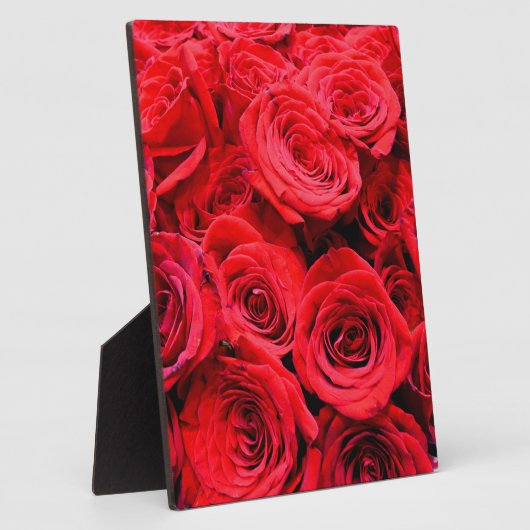 Rode rozen fotoplaat (Zijkant)