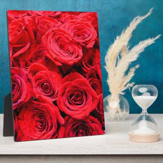 Rode rozen fotoplaat (Zijkant)