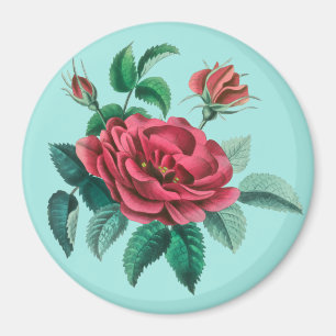 rode rozen magneet