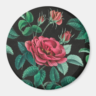 rode rozen magneet