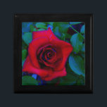 Rode rozen met blauwe tinten cadeaudoosje<br><div class="desc">Rode rozen met blauwe tinten Rode roze roze roze achtergrond lezen om te snijden met je tekst. Geweldig voor elke roos minnaar. Foto van Sandy Closs,  genomen op Lake Arrowiad. "rode rozen""rode rozen""roze rozen""roze rozen""bruiloften""liefdescadeau""rode bloemen""rode bloemen""rode roze" rode blauwe rozen rozen "geschenken met rozen"</div>