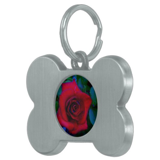 Rode rozen met blauwe tinten huisdieren naamplaatje (Voorkant Rechts)