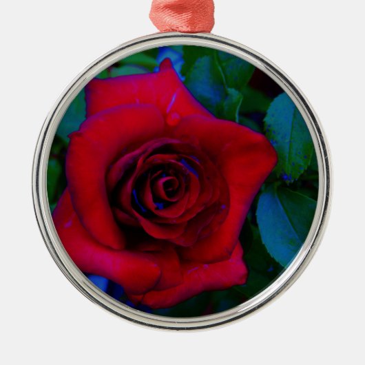 Rode rozen met blauwe tinten metalen ornament (Voorkant)