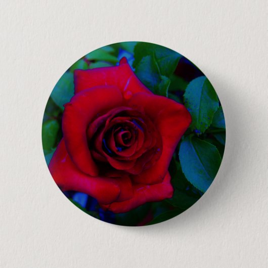 Rode rozen met blauwe tinten ronde button 5,7 cm (Voorkant)