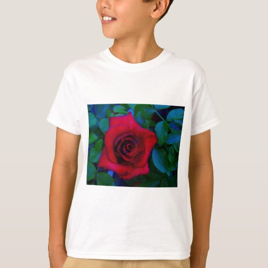 Rode rozen met blauwe tinten t-shirt (Voorkant)