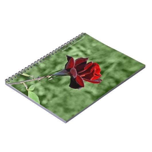 Rode Rozen Notitieboek (Linkerzijde)