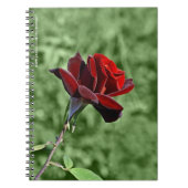 Rode Rozen Notitieboek (Voorkant)