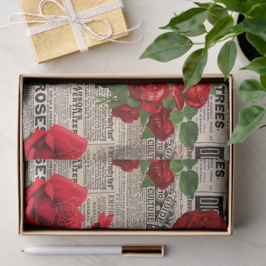 Rode rozen op  ontkoppeling van krantenpapier tissuepapier (Geschenk)