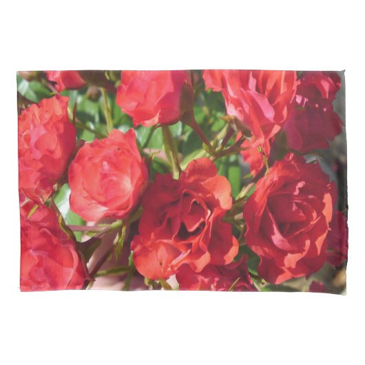 Rode rozen Pillow hoesje 2 Kussensloop (Voorkant)