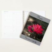 Rode Rozen Planner (Display)
