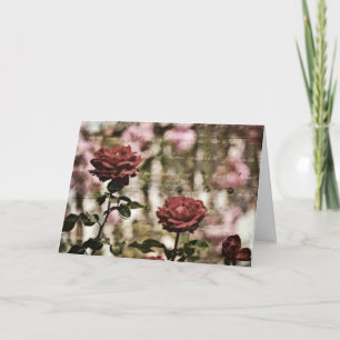 Rode rozen Romantische tuin Kaart