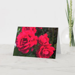 Rode Rozen Rosarium  Feestdagen Kaart