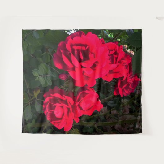 Rode Rozen Rosarium Wandkleed (Voorkant (horizontaal))