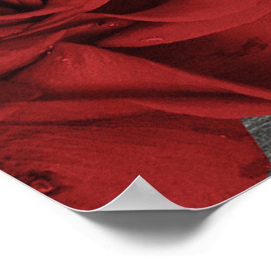 Rode rozen Rustic Black Lace Wedding Wedding Sign Poster (Hoek)